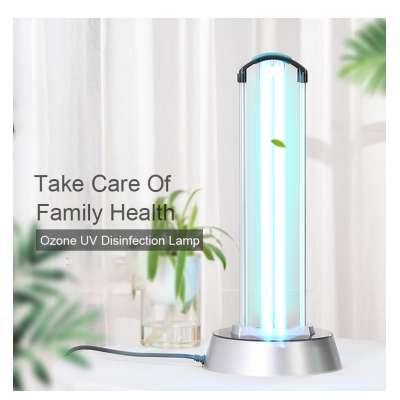 Products with high repurchase rates Induction Lamp UVC Ultraviolet Disinfection Light Portable Germicidal Lamp